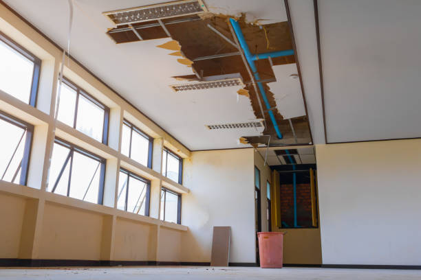 Best Sewage cleanup and water damage restoration  in Everett, PA