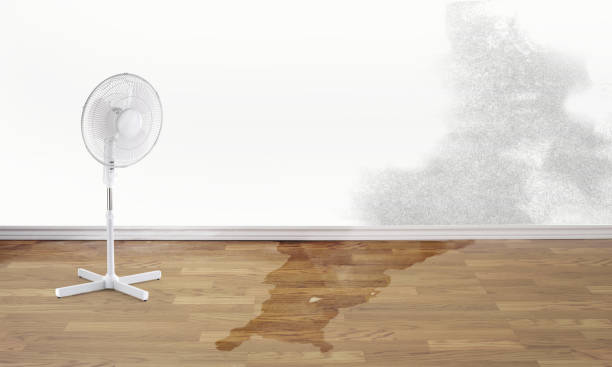 Best Fire Damage Restoration  in Everett, PA