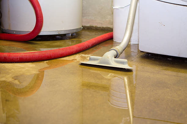 Best Carpet water damage restoration  in Everett, PA