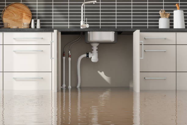 Best Water damage cleanup near me  in Everett, PA