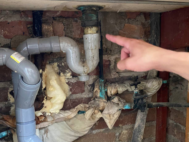Best Water damage restoration near me  in Everett, PA