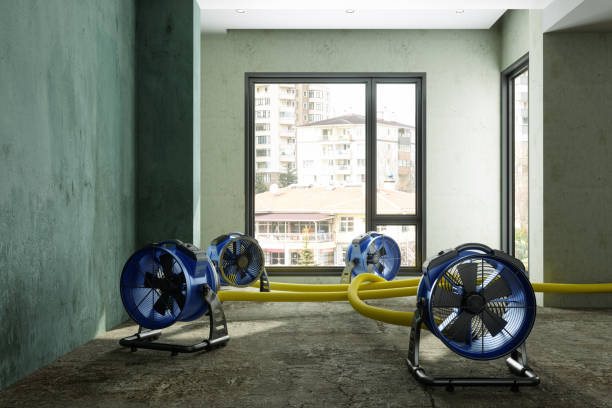 Best Local water damage restoration  in Everett, PA